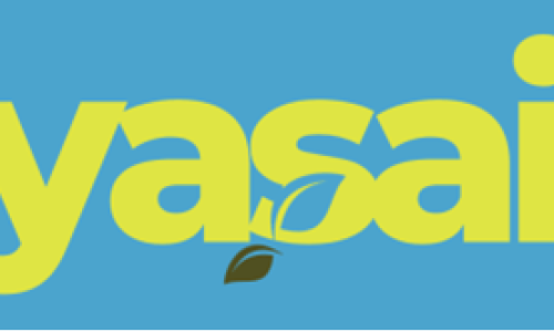 Logo yasai